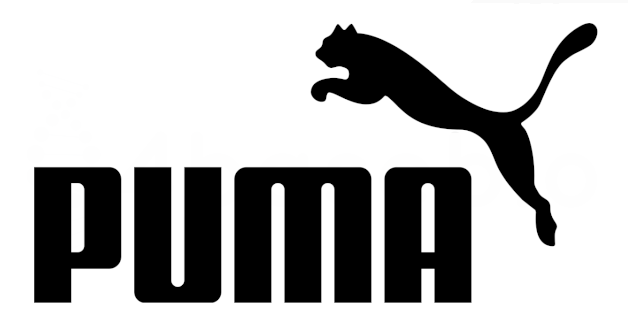 Onmogelijk draaipunt Geletterdheid Puma SE: PUMA Geschäftsbericht herunterladen - MoneyController (ID 8441)